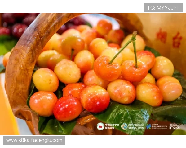 K8亚游国际市场的法律合规问题及应对措施确保企业稳健运营