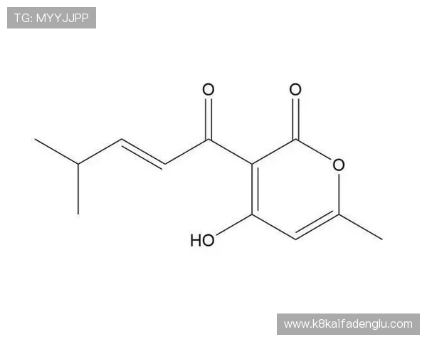 凯发k8国际下载带你体验最新最全的线上娱乐游戏资源和便捷的下载安装流程
