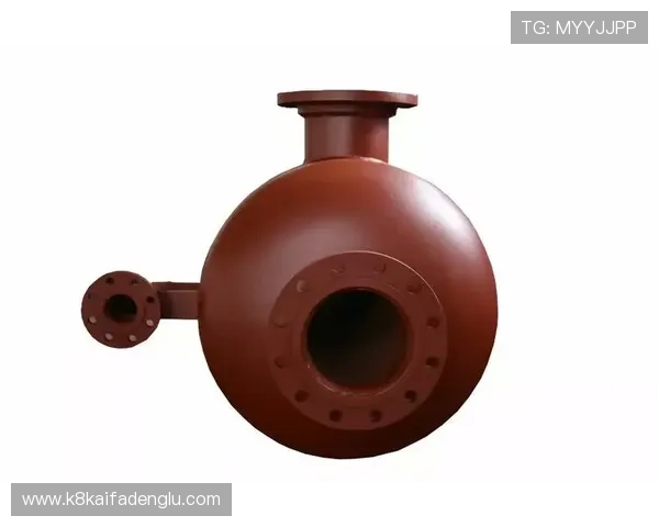 凯发电脑版官网首页下载入口，官方安全保障确保您的游戏体验无忧